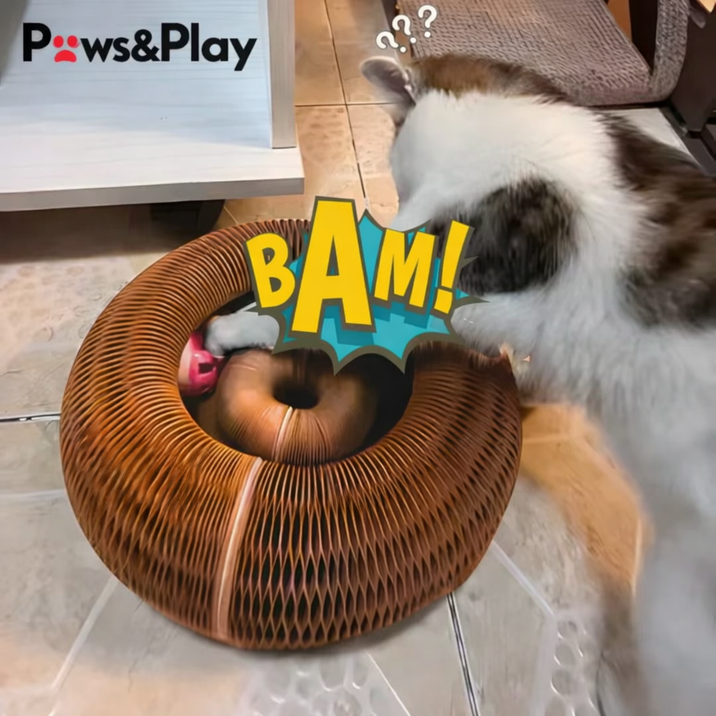 Paws & Play Curlz